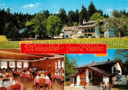 AK / Ansichtskarte Eichstaett Oberbayern Waldgasthof zum Belaender Kat. Eichstaett