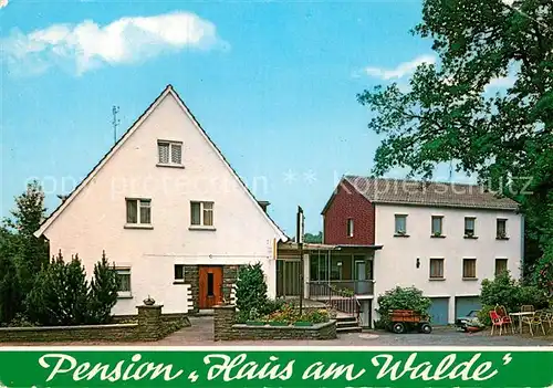AK / Ansichtskarte Meiswinkel Pension Cafe Haus am Walde Kat. Siegen