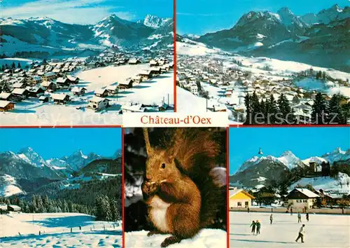 AK / Ansichtskarte Chateau d Oex Fliegeraufnahme Eichhoernchen Eisbahn Kat. Chateau d Oex