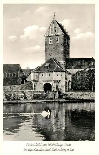 AK / Ansichtskarte Dinkelsbuehl 1000jaehrige Stadt Stadtparkweiher und Rothenburger Tor Schwan Kat. Dinkelsbuehl