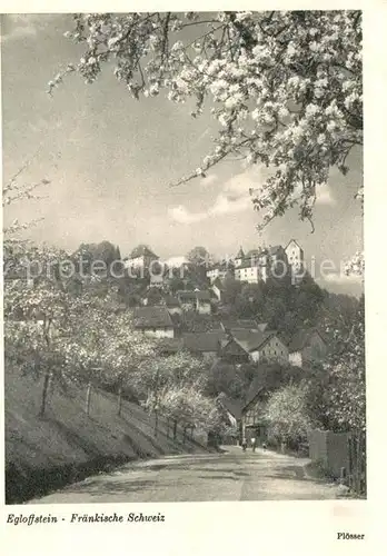 AK / Ansichtskarte Egloffstein Baumbluete Ortsstrasse mit Blick zum Schloss Kat. Egloffstein