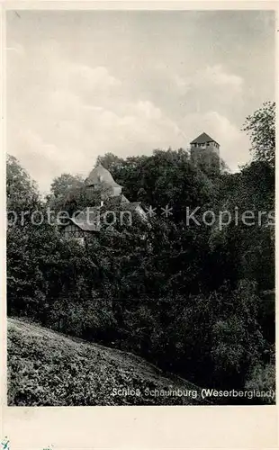 AK / Ansichtskarte Rinteln Burg Schaumburg Kat. Rinteln