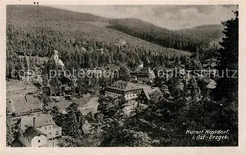 AK / Ansichtskarte Kipsdorf  Kat. Altenberg