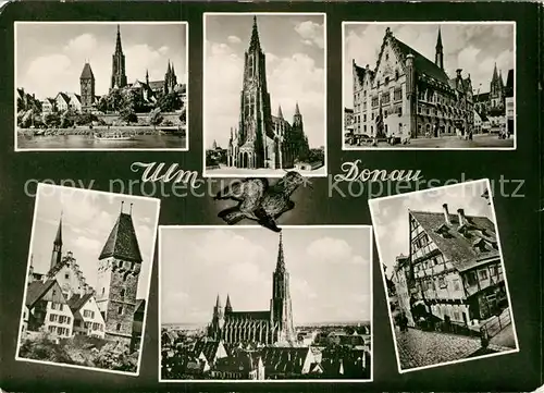 AK / Ansichtskarte Ulm Donau Blick ueber die Donau zum Muenster Altstadt Fachwerkhaus Turm Kat. Ulm
