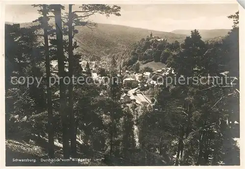 AK / Ansichtskarte Schwarzburg Thueringer Wald Durchblick vom Wildgatter Kat. Schwarzburg