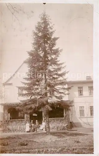 AK / Ansichtskarte Falkenberg exBz Halle Nadelbaum