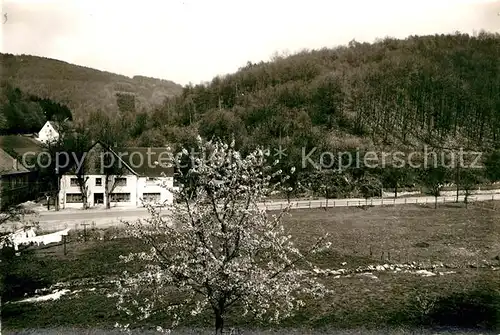 AK / Ansichtskarte Sundern Sauerland Haus Pingel Kat. Sundern (Sauerland)