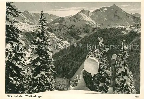 AK / Ansichtskarte Dachstein Gebirge Wildkarkogel Kat. Oesterreich