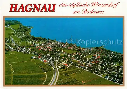 AK / Ansichtskarte Hagnau Bodensee Fliegeraufnahme Winzerdorf Kat. Hagnau am Bodensee