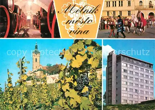 AK / Ansichtskarte Melnik Tschechien Sklepy Slavnost vinobrani Zamek s vinici Hotel Ludmila Kat. Melnik