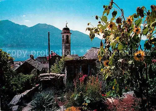 AK / Ansichtskarte Brione Sonnenblumen Kirchturm Lago Maggiore Kat. Brione sopra Minusio