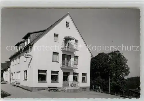 AK / Ansichtskarte Wildewiese Pension Steinberg Kat. Sundern (Sauerland)