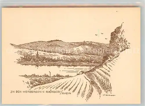 AK / Ansichtskarte Rhoendorf In den Weinbergen Kat. Bad Honnef