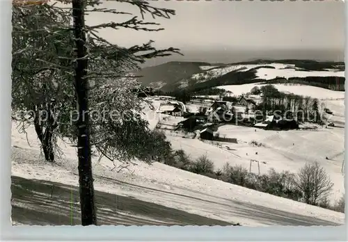 AK / Ansichtskarte Wildewiese Panorama  Kat. Sundern (Sauerland)