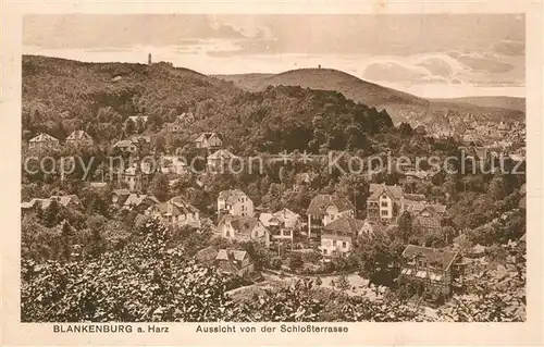 AK / Ansichtskarte Blankenburg Bad Blick von der Schlossterrasse Kat. Bad Blankenburg