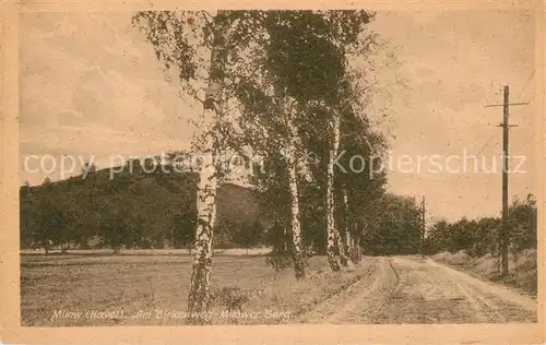 AK / Ansichtskarte Milow Rathenow Am Birkenweg Kat. Milower Land