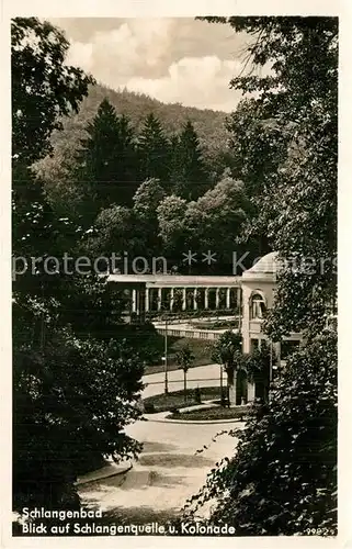 AK / Ansichtskarte Schlangenbad Taunus Schlangenquelle Kolonade Kat. Schlangenbad