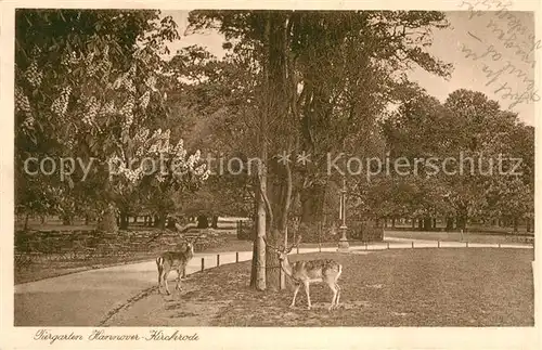 AK / Ansichtskarte Kirchrode Tiergarten Kat. Hannover