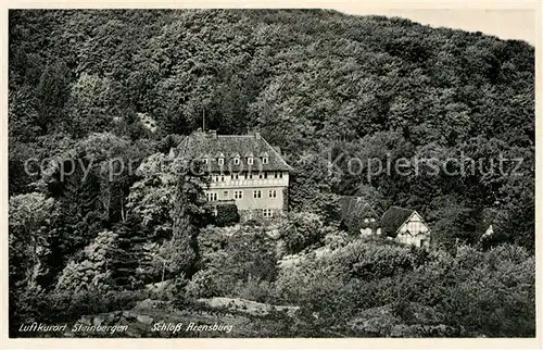 AK / Ansichtskarte Steinbergen Schloss Arensburg Kat. Rinteln