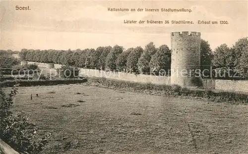 AK / Ansichtskarte Soest Arnsberg Kattenturm Stadtumwallung 