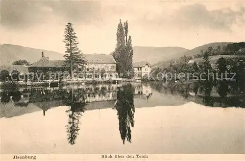 AK / Ansichtskarte Ilsenburg Harz Teich Panorama Kat. Ilsenburg Harz