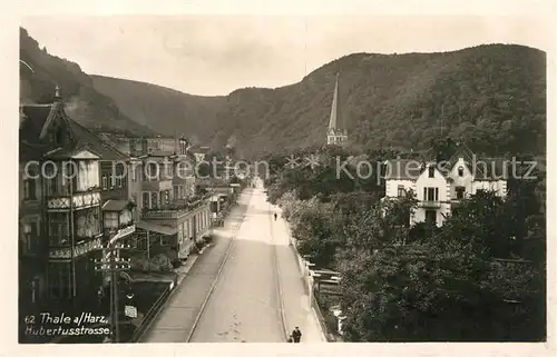 AK / Ansichtskarte Thale Harz Hubertusstrasse Kat. Thale