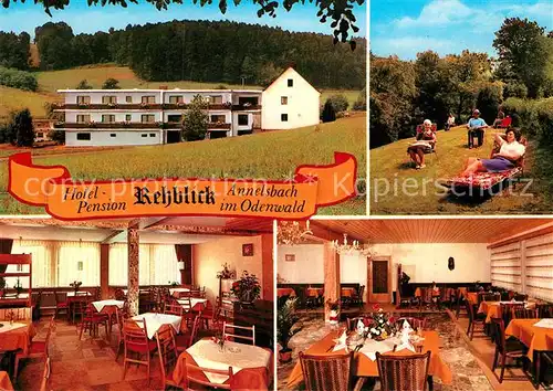 AK / Ansichtskarte Annelsbach Hotel Pension Rehblick Kat. Hoechst i. Odw.