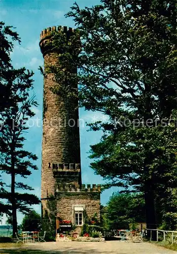 AK / Ansichtskarte Bueckeburg Ida Turm im Harrl Aussichtsturm Kamin Stuebchen Kat. Bueckeburg