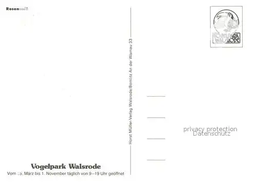 AK / Ansichtskarte Walsrode Lueneburger Heide Vogelpark Walsrode Rosencafe Kat. Walsrode