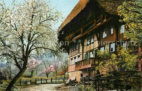 AK / Ansichtskarte Gutach Schwarzwald Schwarzwaldhaus Kat. Gutach