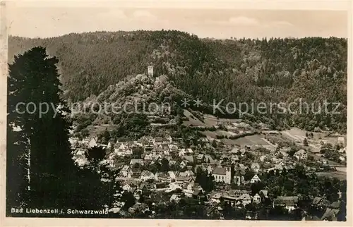 AK / Ansichtskarte Bad Liebenzell Gesamtansicht  Kat. Bad Liebenzell