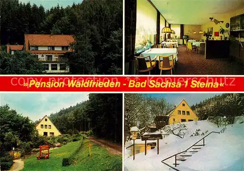 AK / Ansichtskarte Steina Suedharz Pension Waldfrieden Winter Kat. Bad Sachsa