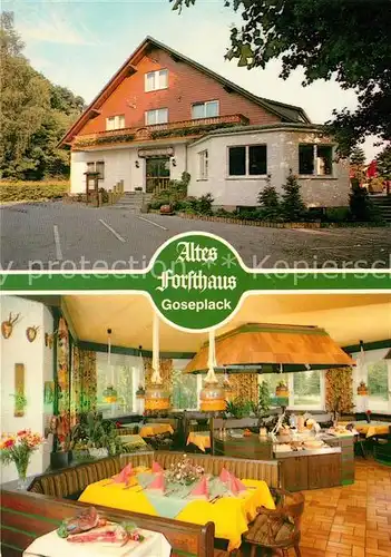 AK / Ansichtskarte Goseplack Hardegsen Cafe Forsthaus Hotel Altes Forsthaus