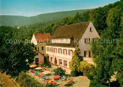 AK / Ansichtskarte Hambach Heppenheim Hotel Waldschloessel Kat. Heppenheim (Bergstrasse)