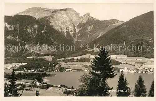 AK / Ansichtskarte St Wolfgang Salzkammergut Fliegeraufnahme Seepartie Kat. St. Wolfgang im Salzkammergut