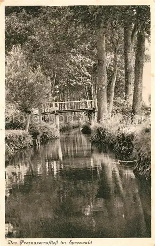 AK / Ansichtskarte Spreewald Das Preznazerrafliess Kat. Luebbenau