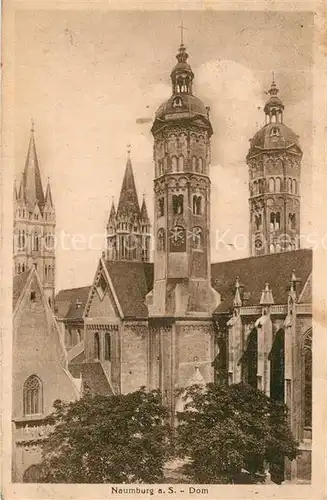 AK / Ansichtskarte Naumburg Saale Dom  Kat. Naumburg