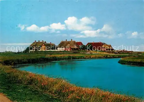 AK / Ansichtskarte Hallig Hooge Schulwarft Kat. Hooge