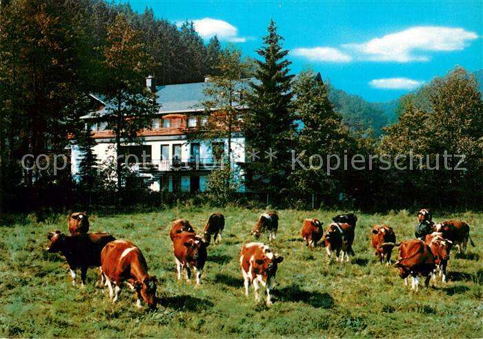 Stryck Hotel Cafe Haus Friederike Kat Willingen Upland Nr