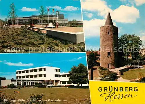 AK / Ansichtskarte Gruenberg Hessen Gallushalle Bildungsstaette des deutschen Gartenbaues Diebsturm Kat. Gruenberg