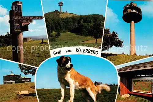 AK / Ansichtskarte Koeterberg Berghotel Restaurant mit Skilift Bernhardiner Kat. Luegde