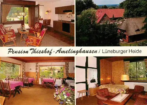 AK / Ansichtskarte Amelinghausen Lueneburger Heide Pension Thieshof Kat. Amelinghausen