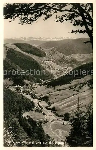 AK / Ansichtskarte Todtnau Blick in das Wiesental Kat. Todtnau