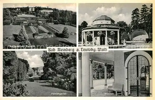 AK / Ansichtskarte Bad Meinberg Kurpark Kurgarten Palmengarten Brunnen Kat. Horn Bad Meinberg