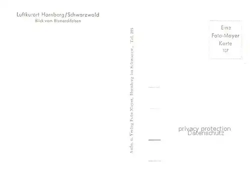 AK / Ansichtskarte Hornberg Schwarzwald Blick vom Busmarckfelsen Kat. Hornberg