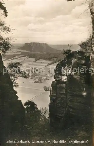 AK / Ansichtskarte Lilienstein Nadeloehr Pfaffenstein  Kat. Bad Schandau