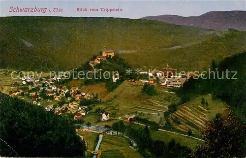 AK / Ansichtskarte Schwarzburg Thueringer Wald Blick vom Trippstein Kat. Schwarzburg