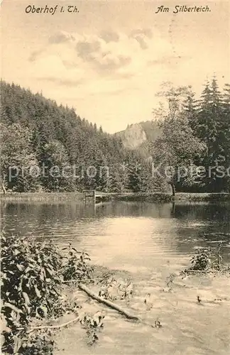 AK / Ansichtskarte Oberhof Thueringen Silberteich  Kat. Oberhof Thueringen