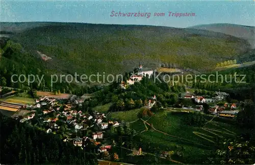 AK / Ansichtskarte Schwarzburg Thueringer Wald Blick vom Trippstein Kat. Schwarzburg