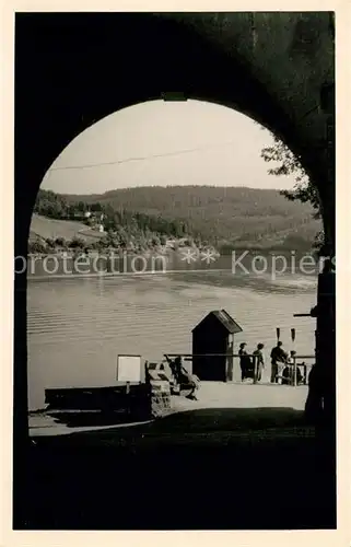 AK / Ansichtskarte Saalburg Ebersdorf Stausee  Kat. Saalburg Ebersdorf